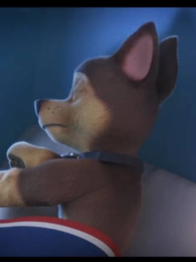 Chase sleeping thumbnail