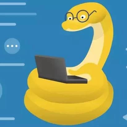  Python programmer thumbnail