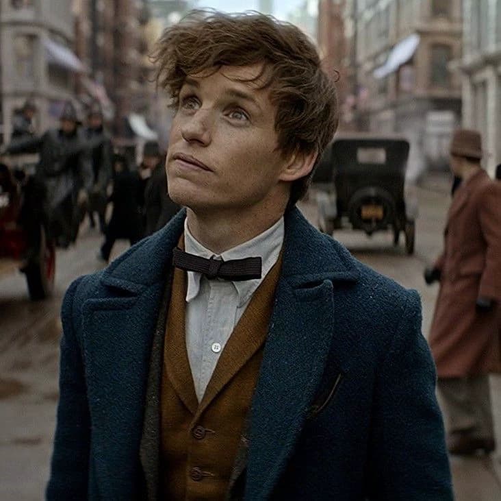 Newt Scamander  thumbnail