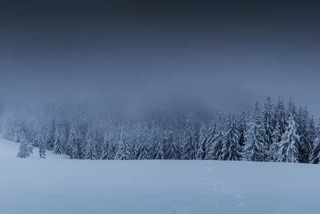 Decaying Winter thumbnail