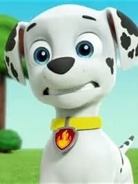 Marshall thumbnail