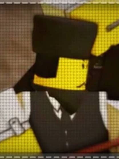 councillor thumbnail
