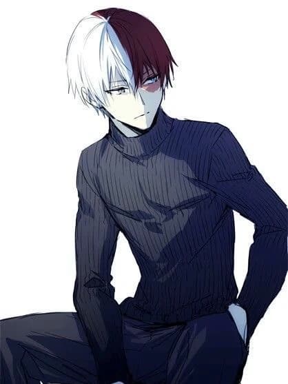 Shoto Todoroki thumbnail