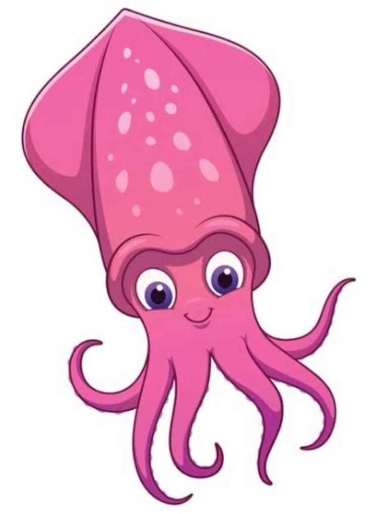 Squid thumbnail