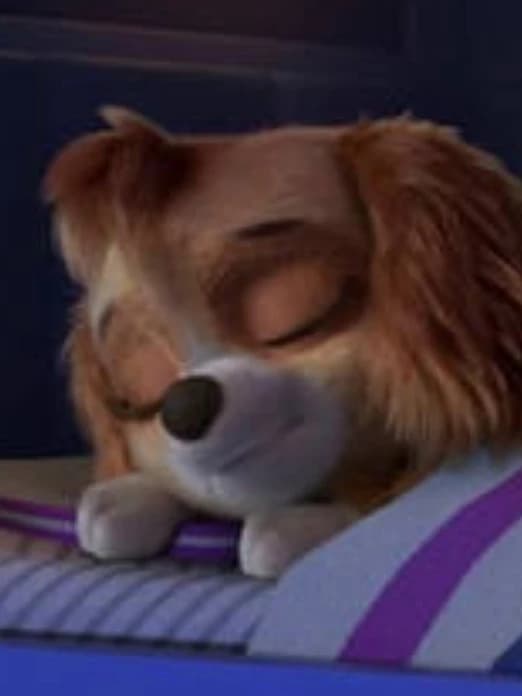 Skye sleeping thumbnail