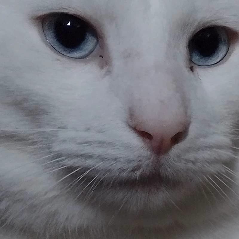Gmalig thumbnail