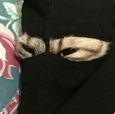 Aisha ( Muslim teacher ) thumbnail