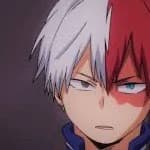 Todoroki thumbnail