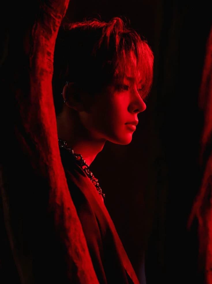 Lee Heeseung (Heejake, MLM, BL, MalexMale, Vampire x Angel)  thumbnail
