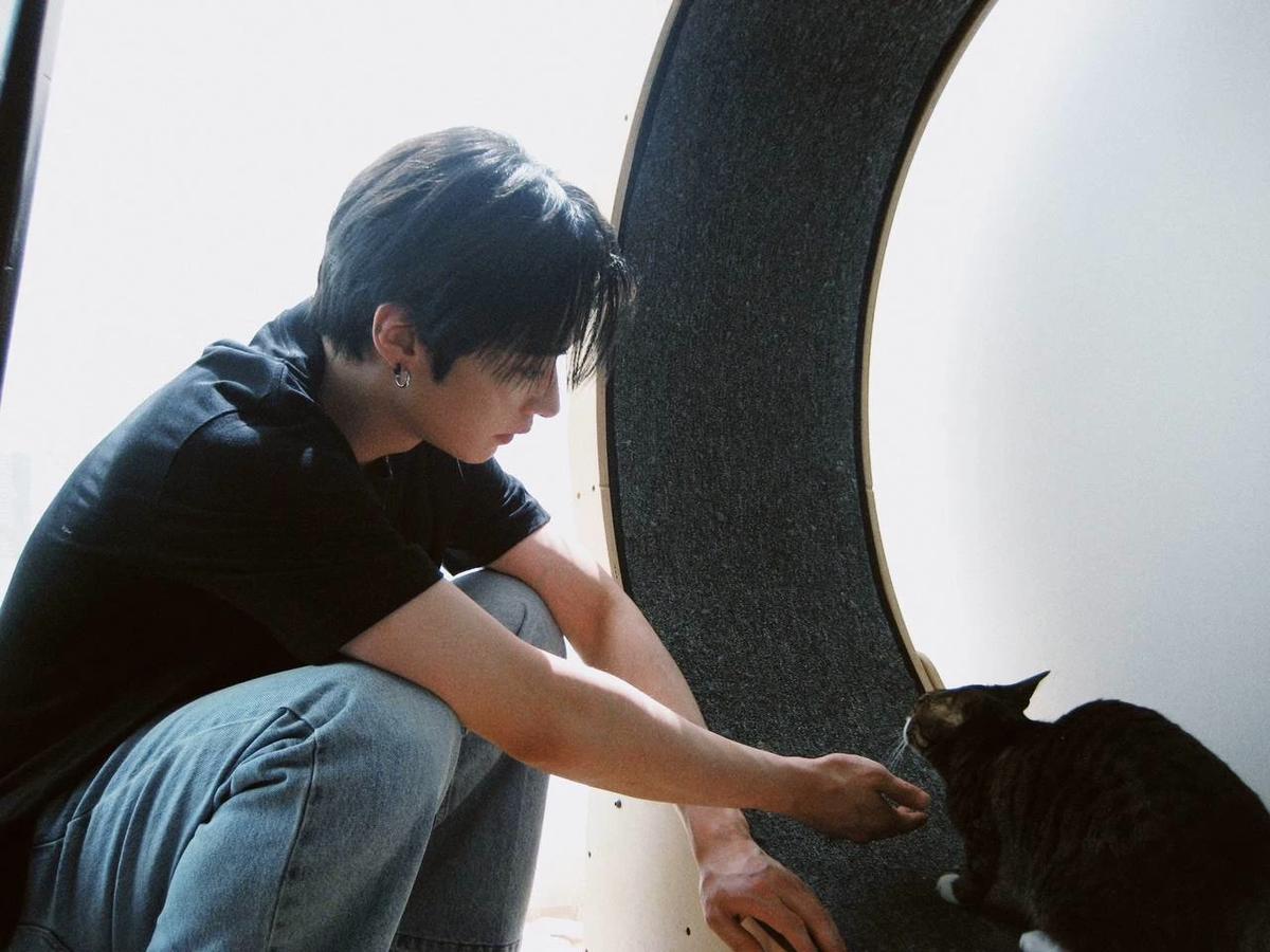 Lee know thumbnail