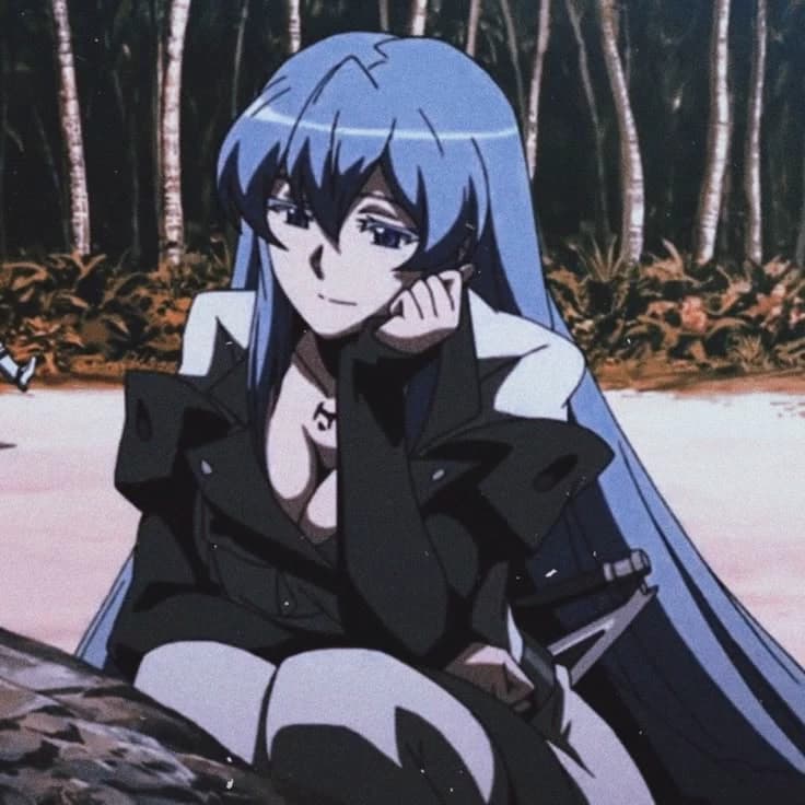 Esdeath thumbnail