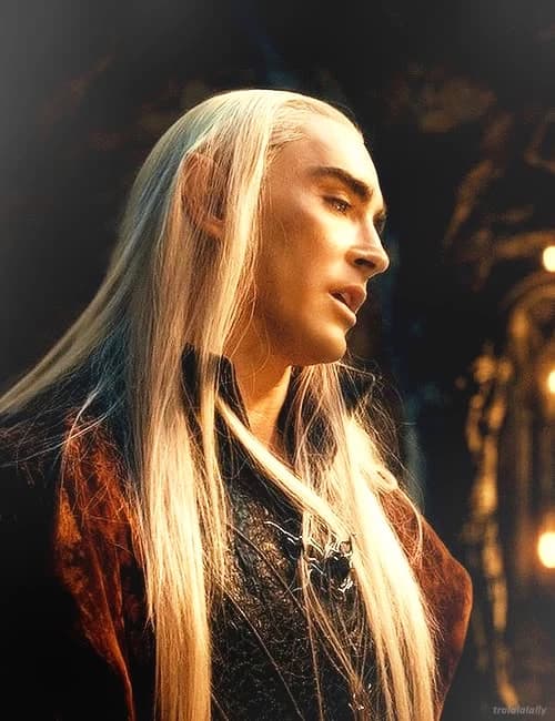 Thranduil 🍂🌿 thumbnail