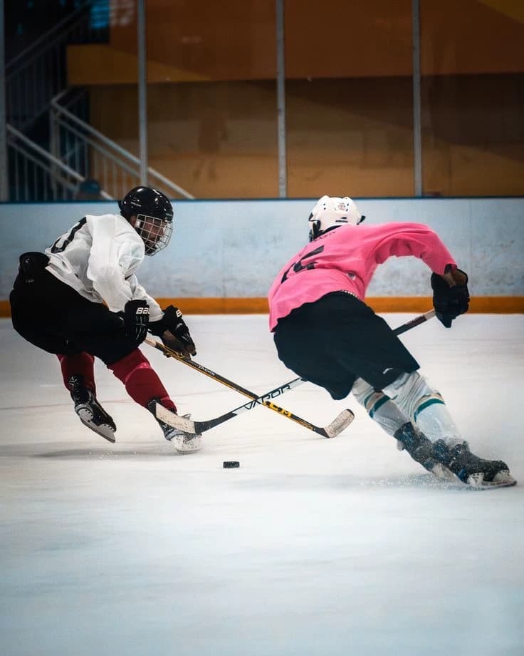 Hockey Fight thumbnail