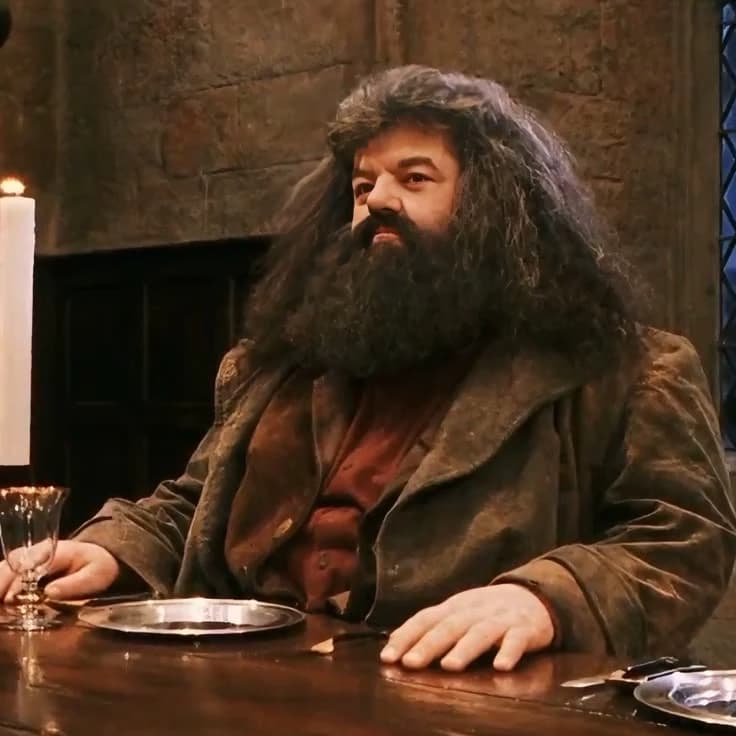Hagrid thumbnail
