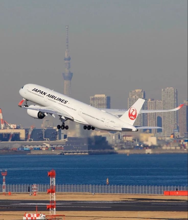 Live planes | Japan Airlines A350-1000 thumbnail