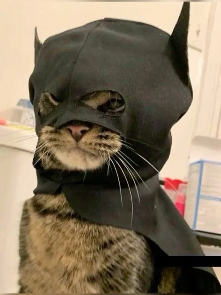 eu sou o Batman  thumbnail