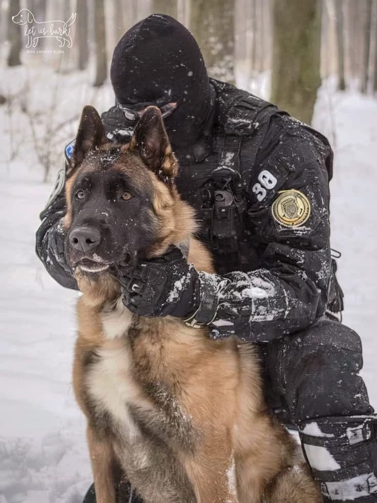 Police unit thumbnail