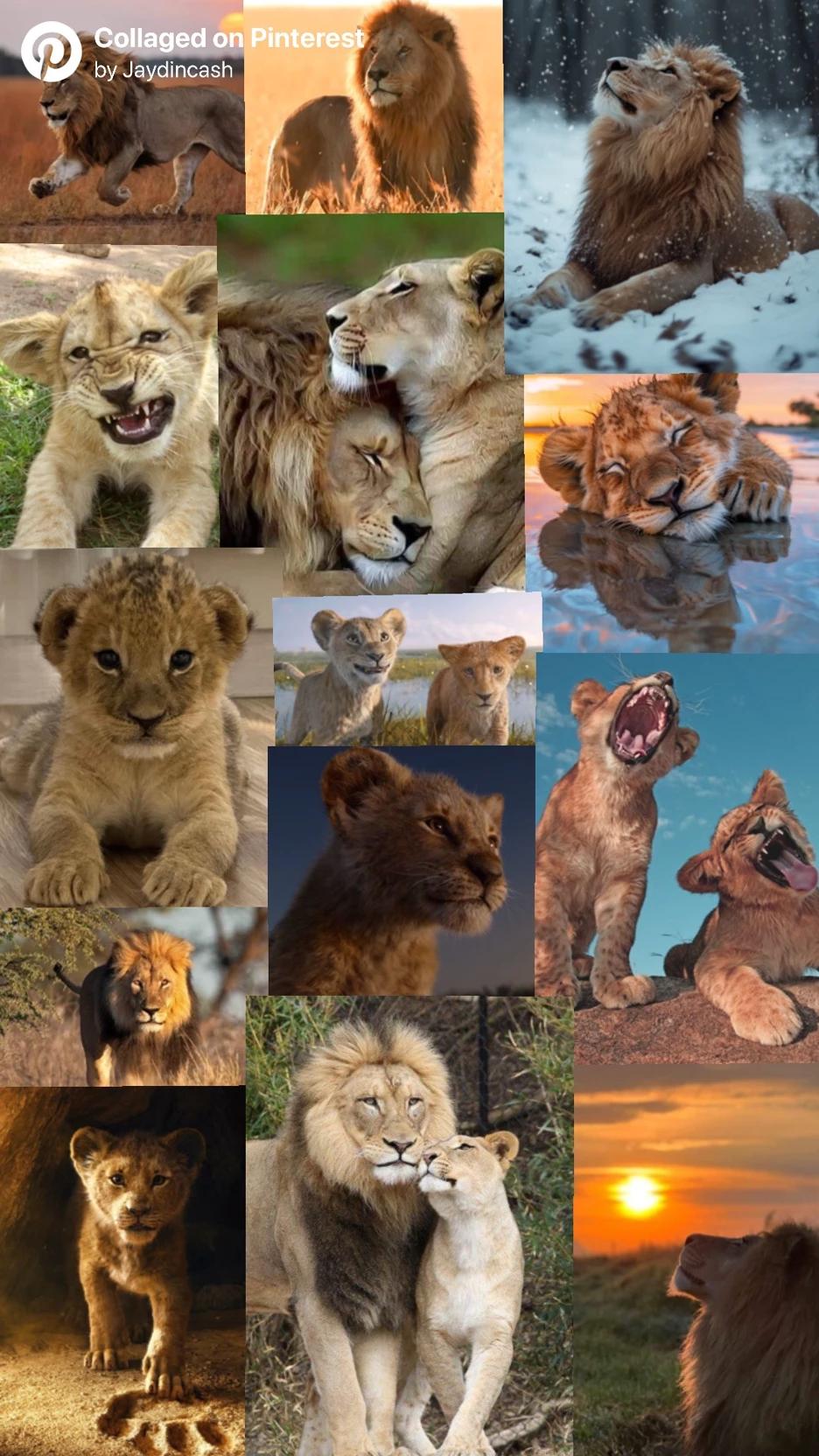 The Ashridge Pride thumbnail