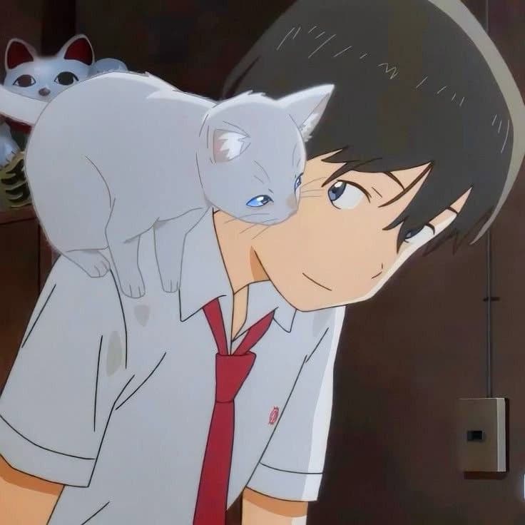 Hinode thumbnail