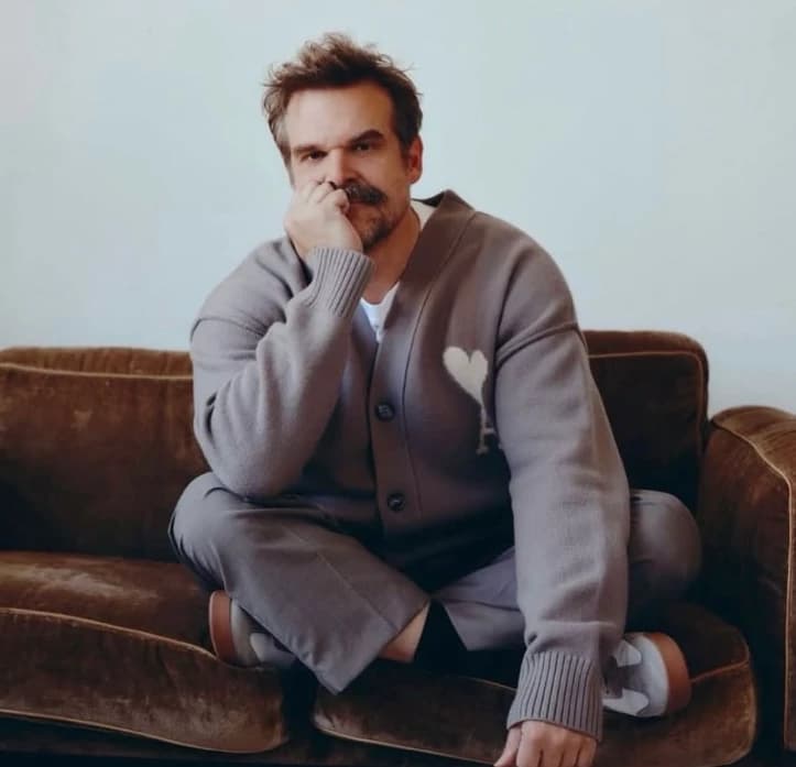David Harbour thumbnail