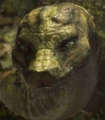 Kaa le serpent  thumbnail
