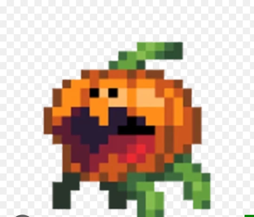 Maxin karpeco thumbnail