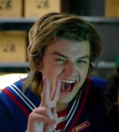 Steve Harrington thumbnail
