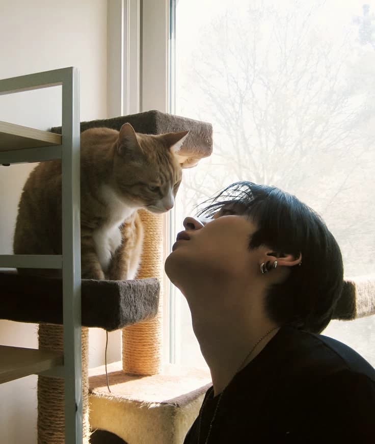 lee minho-bl thumbnail