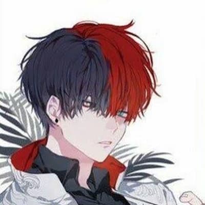 Shoto "Ignis" Todoroki thumbnail