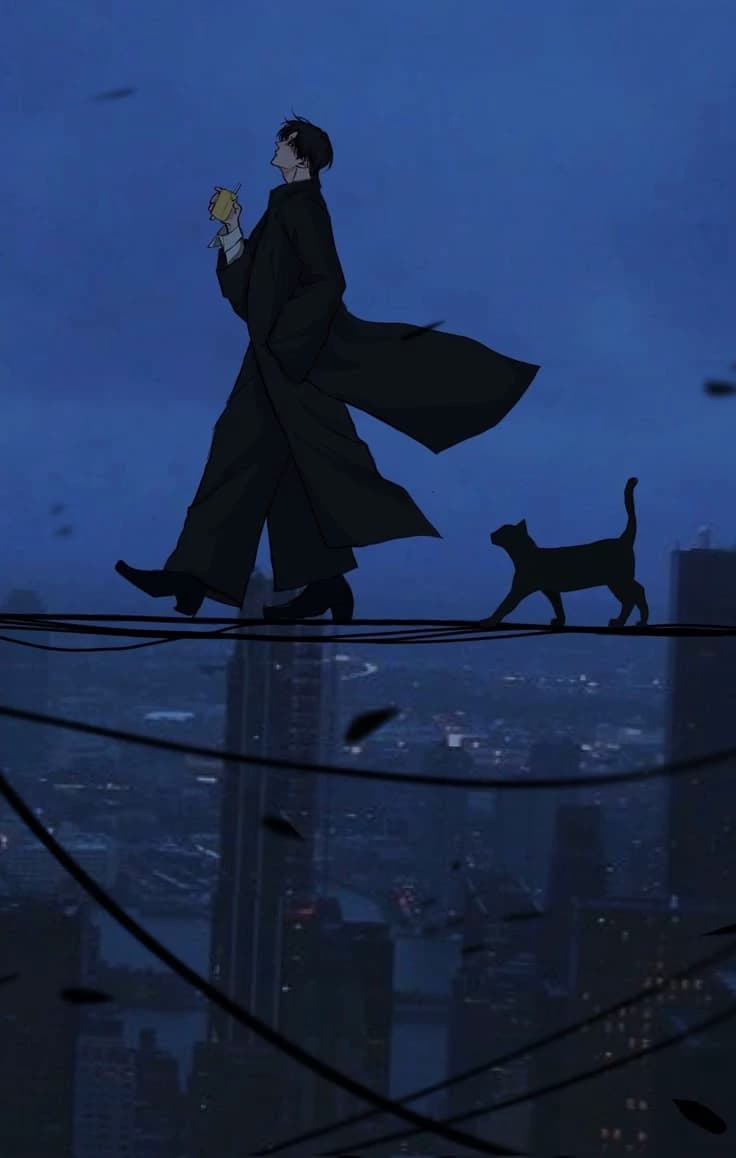 Carson | Black cat 🐈‍⬛✨️ thumbnail
