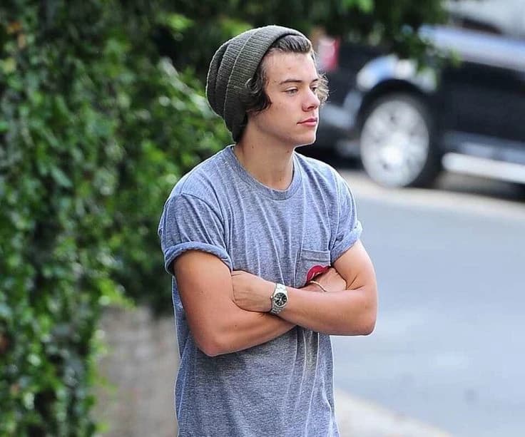 Harry Styles - frat boy  thumbnail