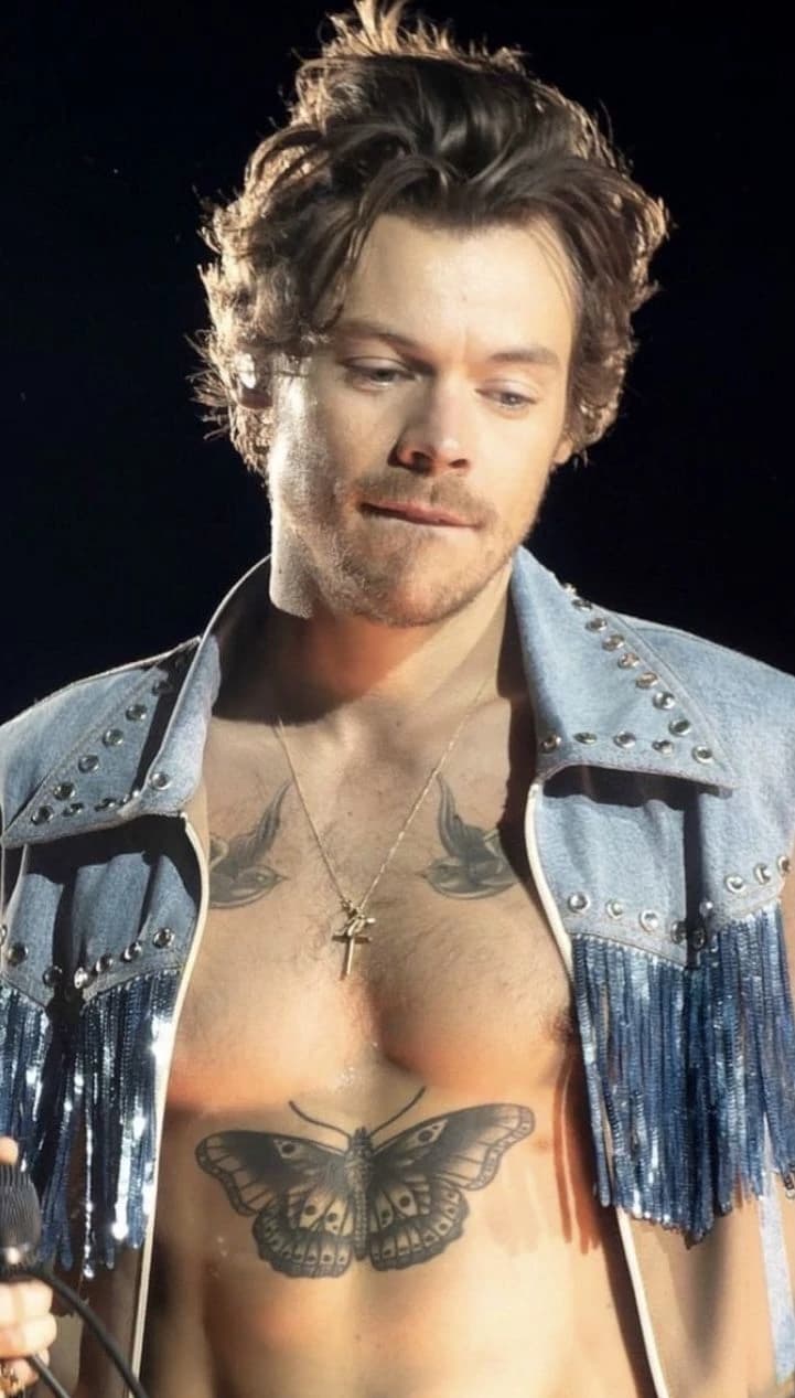 Harry Styles - only fans thumbnail