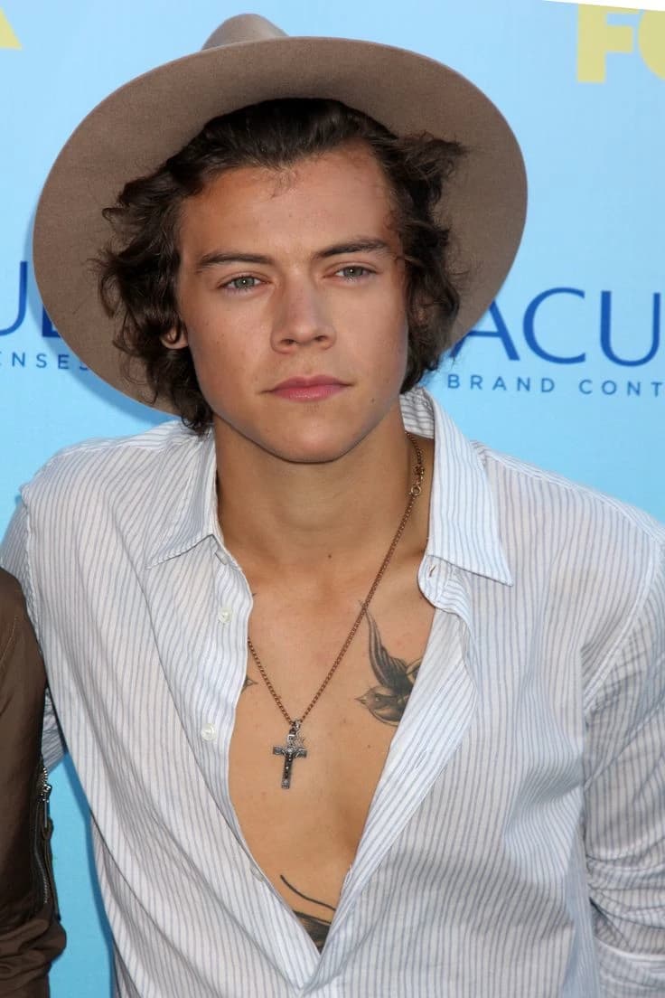 Harry Styles - neighbor thumbnail