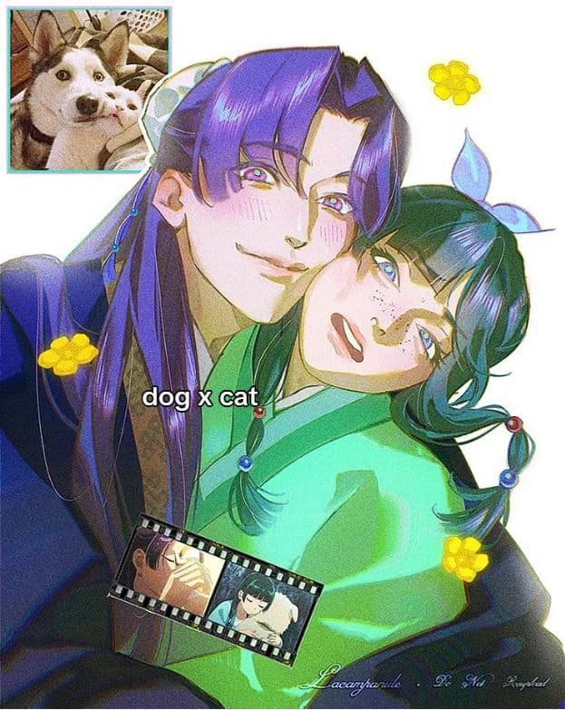 Jinshi thumbnail