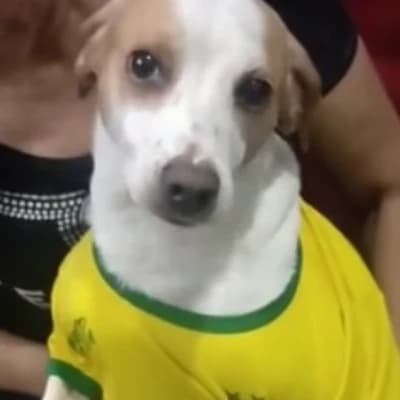 Pablito thumbnail