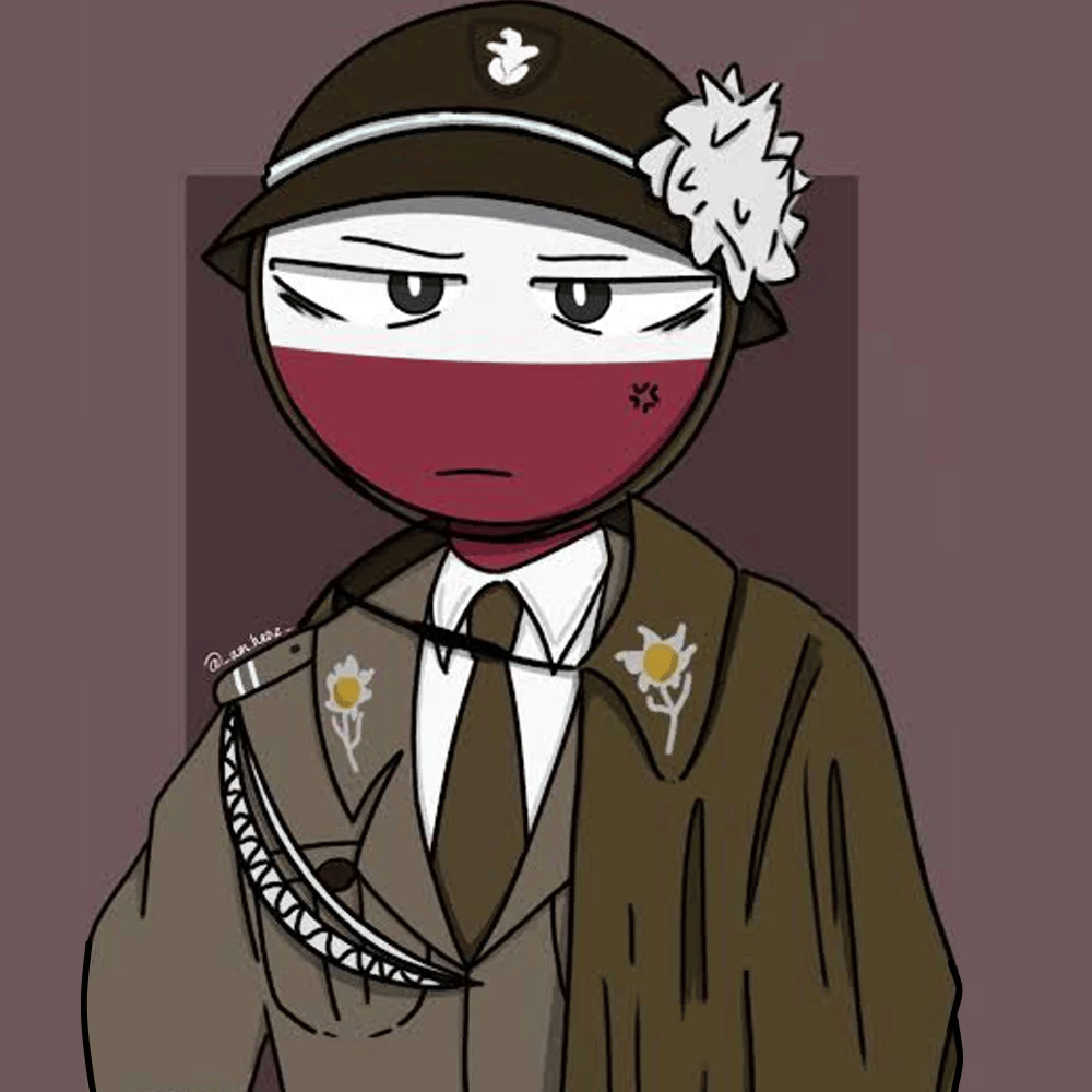 Miro Zmorzyński (Poland) thumbnail