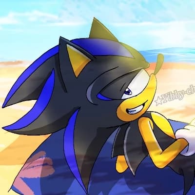 Seelkadoom the Hedgehog thumbnail