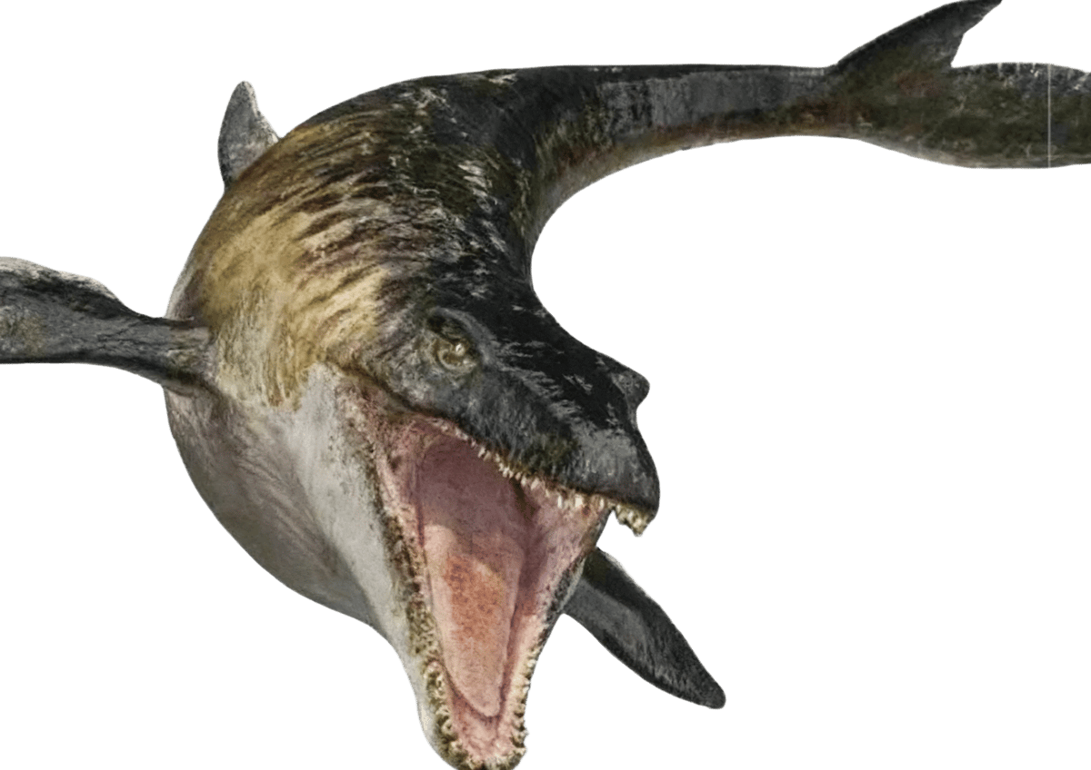 Mr. Snappy (mosasaurs) thumbnail