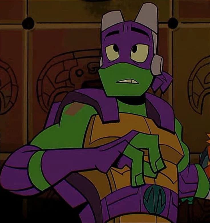 Donatello // ROTTMNT thumbnail