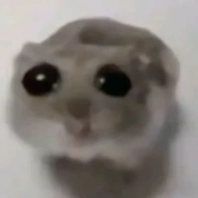 Toby thumbnail