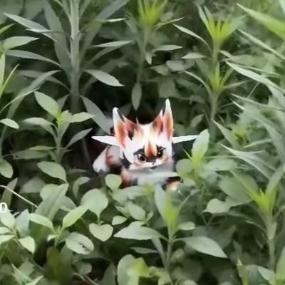A Small Furry thumbnail