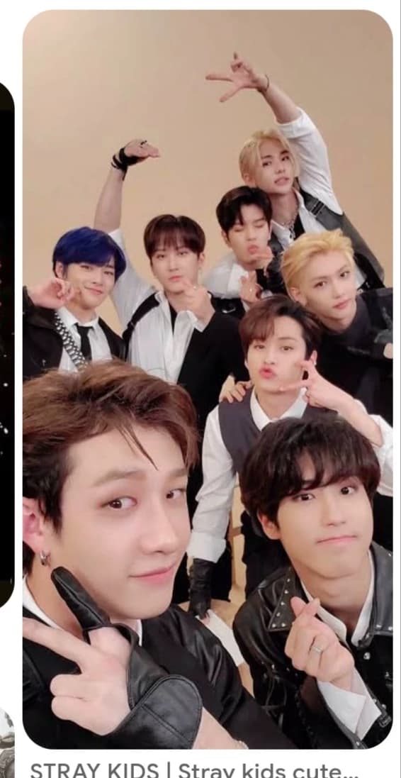 Stray Kids thumbnail