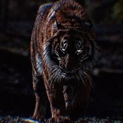 Tyrant, Kaeltha.  thumbnail