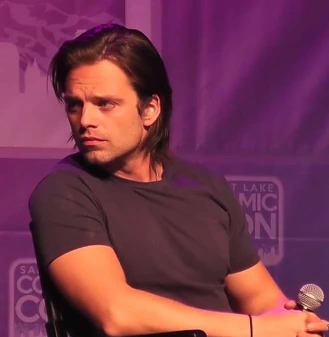 Sebastian Stan  thumbnail