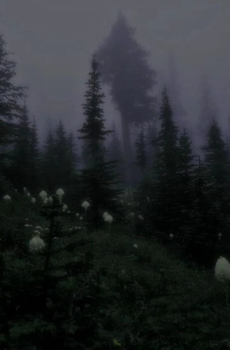 A dark day thumbnail