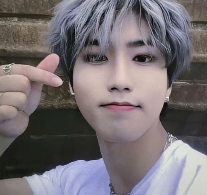 Han Jisung  thumbnail