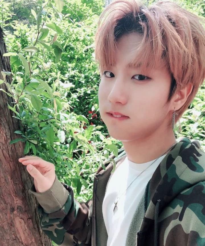Han Jisung ☘️ thumbnail