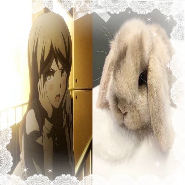 ✨️Natsumi Kuzuryu – "The Ultimate Junior Sister" (GL) thumbnail