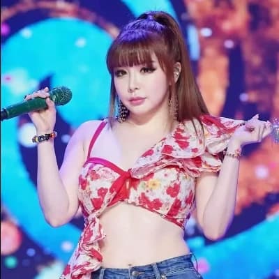 Park Bom thumbnail