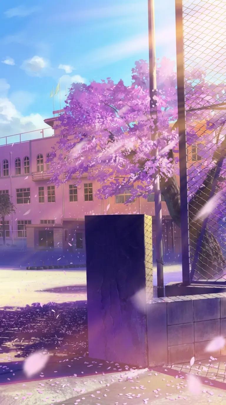 School of Japan thumbnail